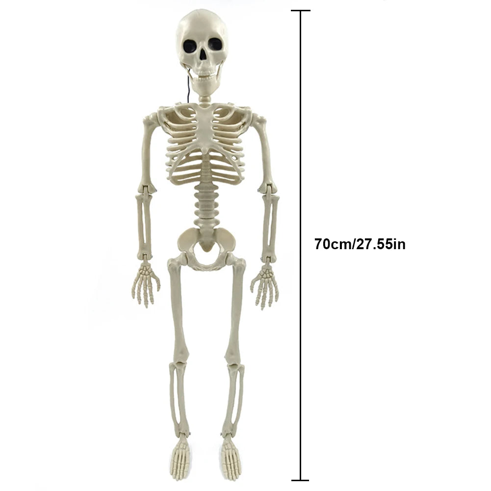 40-90cm Poseable Full Life Size Human Skeleton Halloween Horror Anatomy Movable Skull Skeleton Halloween Decoration Party Prop