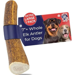 Devil Dog Pet Co. Elk Antlers for Dogs 1 Pack Extra Large 7 + Grade A Long Lasting Dog Bones for Aggressive Chewers Premium USA