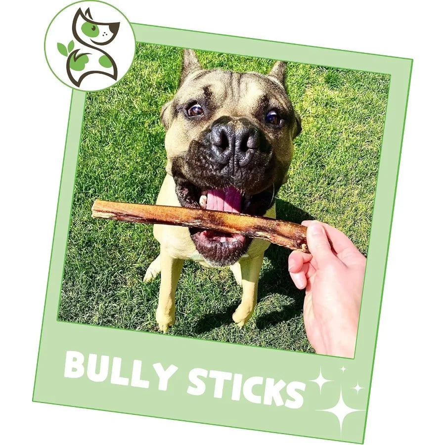 Bully Sticks for Dogs 5-6" 1Lb Mixed Thickness Long Lasting Natural Beef Chew Bones for Aggressive Chewers and Large Dogs