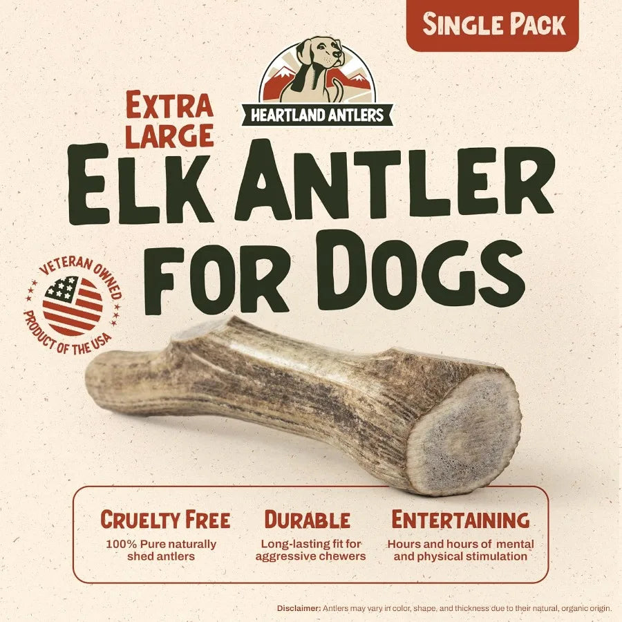 Elk Antlers for Dogs Grade A Naturally Shed Antlers Dog Bones for Aggressive Chewers Teething Puppies All Breeds Chew Toy USA M