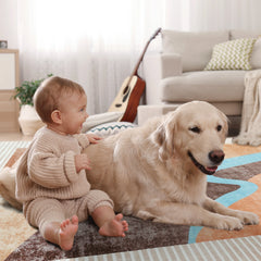 Area Rugs for Living Room, Machine Washable Vintage Rug, Non-Slip Low Pile Throw Rugs with Rubber Backing Washable Carpet