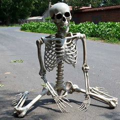 40-90cm Poseable Full Life Size Human Skeleton Halloween Horror Anatomy Movable Skull Skeleton Halloween Decoration Party Prop